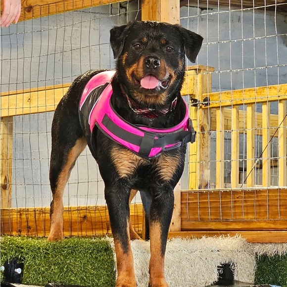 Meet your Posher, Anne - Picture 12 of 15